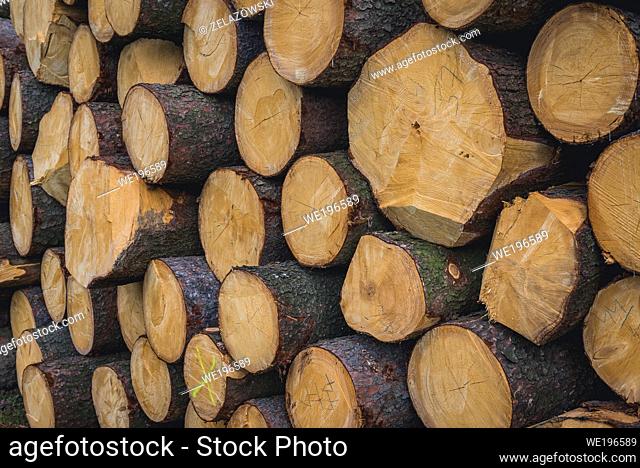 Wood logs in Jasenna village in Zlin Region, Moravia in Czech Republic