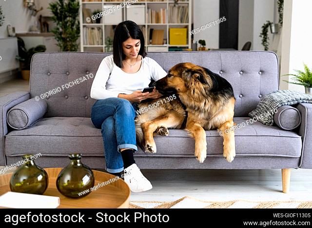 Young woman using mobile phone while sitting with pet dog on sofa in living room