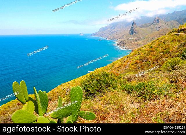Anaga Rural Park beautiful wild landscape in Tenerife Island, Canary Islands, Spain