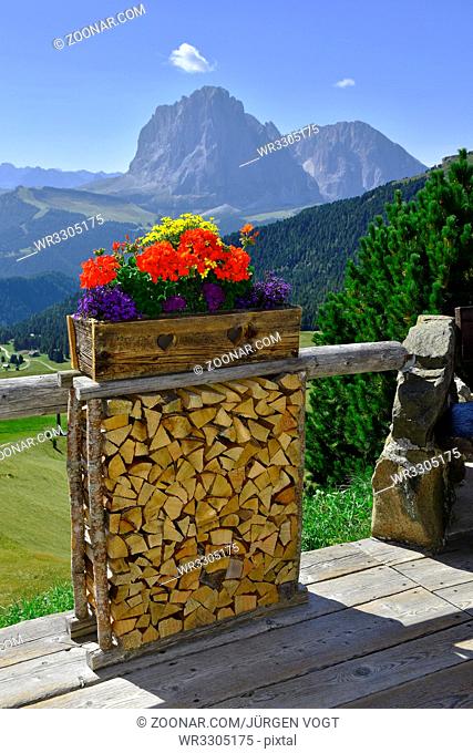 Aschgler Alm; Blick zur Langkofelgruppe; Naturpark Puez-Geisler; Dolomiten; Dolomite alps; South Tyrol; Italy;
