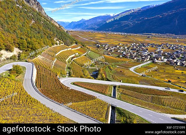 Vineyards in autumn colors in the Rhone Valley, Leytron wine-growing region, Leytron, Valais, Switzerland