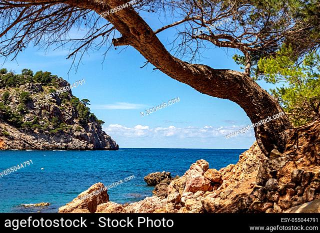 View on the coast at bay Cala Tuent on balearic island Mallorca, Spain on a sunny day with clear blue water and rocky coastline