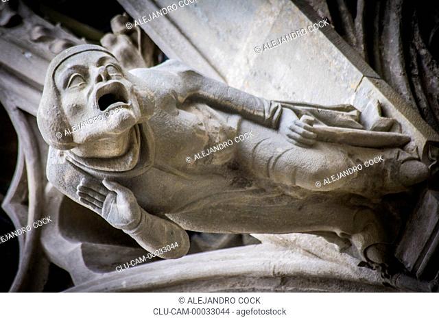 Gargoyle of the Cathedral of Saint -Michel, Carcassone, Languedoo-Roussillon, France, Western Europe
