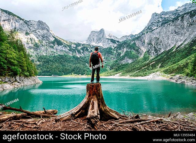 Man traveler standing on tree stump ejoying view of Dachstein peak mountains on a Upper Gosau Lake. Gosau, Salzkammergut, Austria, Europe