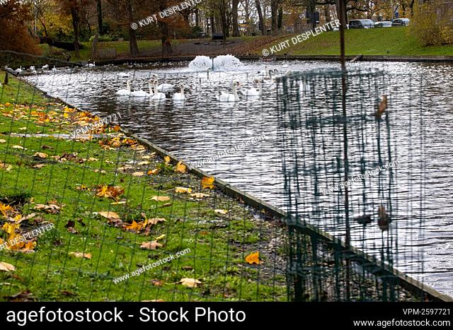 Illustration picture shows a fence at 't Stil Ende in Brugge, Monday 16 November 2020. Due to the discovery of bird flu in three wild birds in Ostend