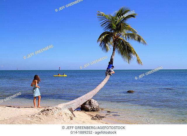 Florida, Florida Keys, US Route 1 One, Overseas Highway, Upper Matecombe Key, Islamorada, The Moorings Village and & Spa, resort, Atlantic Ocean, palm tree, boy