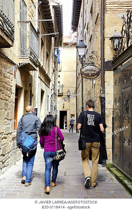 Guide with tourists, Laguardia, Rioja Alavesa, Araba, Basque Country, Spain, Europe