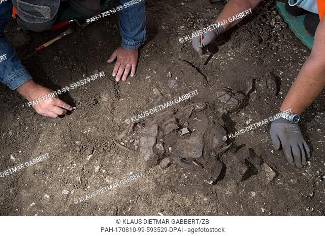 Excavation workers of the Office for Memorial Care and Archaeology of the State of Saxony-Anhalt dig out several urns from a cairn grave in Hersleben, Germany