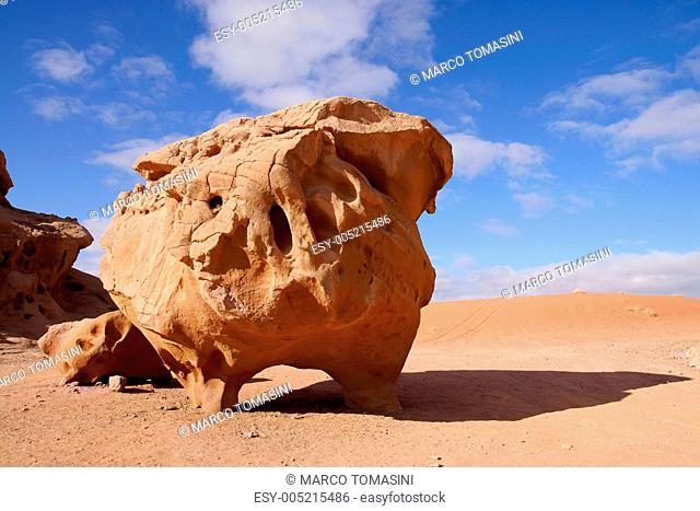 Cow stone in Wadi Rum desert, Jordan