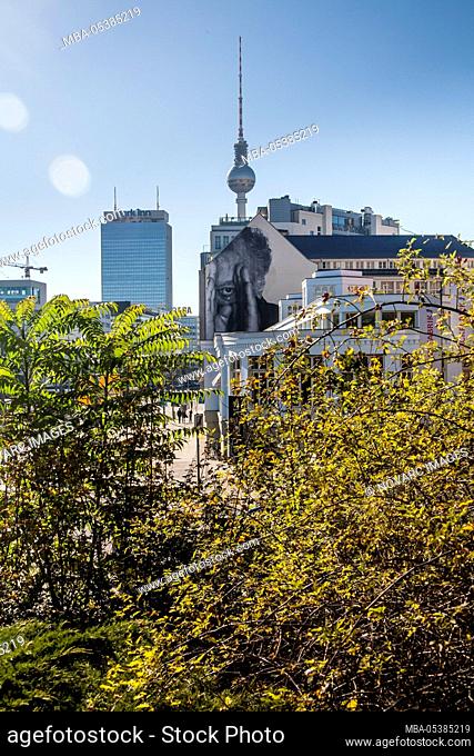 Prenzlauer Allee, Prenzlauer Berg, view towards the center of the TV tower and Park Inn, right on the street art by JR, Berlin, Germany
