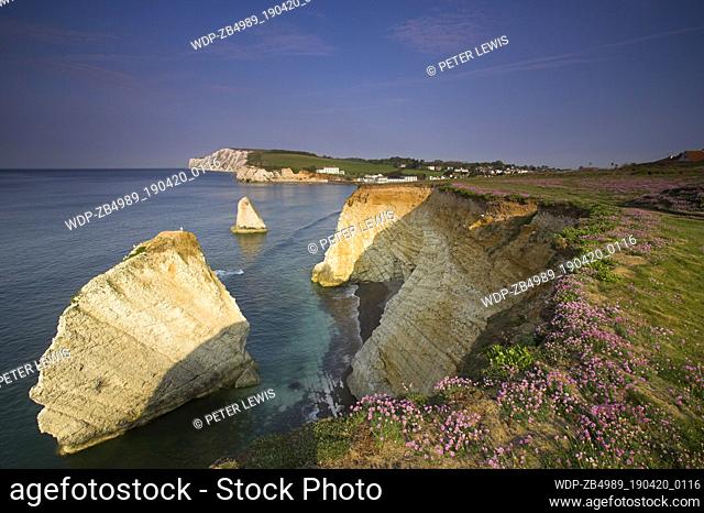 Coastline with sea stacks UK - England Isle Of Wight Freshwater Bay