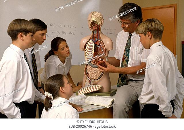 Male and female pupils being shown a model of the human body by male teacher during a biology lesson