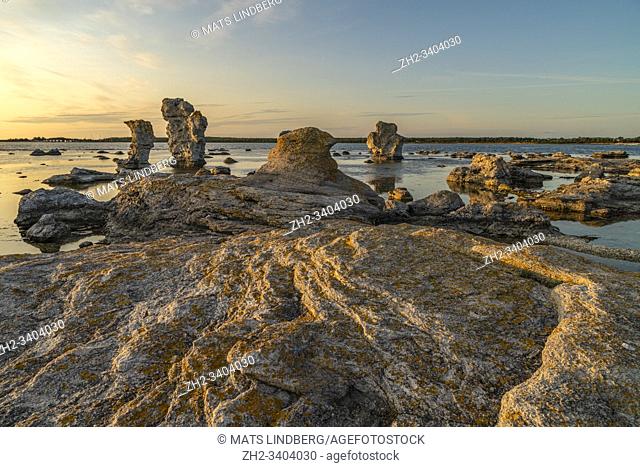 Rauk formations on Fårö at sunset with nice evening light, patterns in the stone, Fårö, Gotland, Sweden