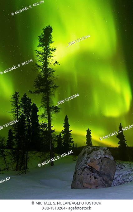 Aurora Borealis Northern Polar Lights over the boreal forest outside Yellowknife, Northwest Territories, Canada, MORE INFO The term aurora borealis was coined...