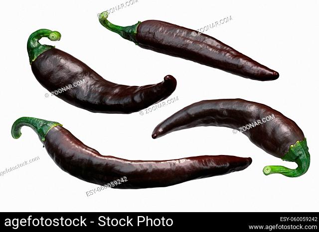 Chilaca chile peppers, ripe brown, whole pods. Known as Pasilla when dried