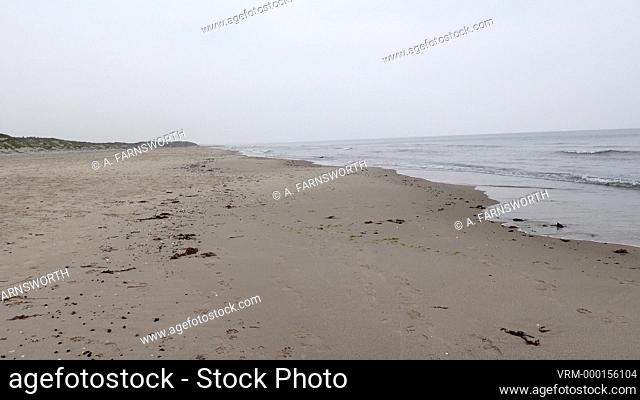 Hirtshals, Denmark A North Sea beach on a rainy day