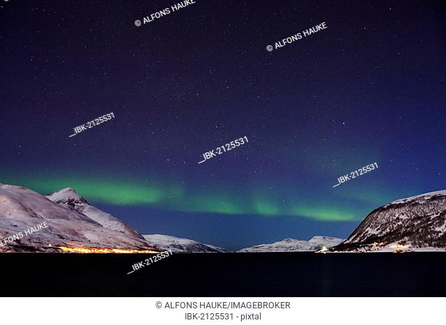 Northern lights over the Kaldfjord, Kvaloya, Tromsø or Tromso, Norway, Europe