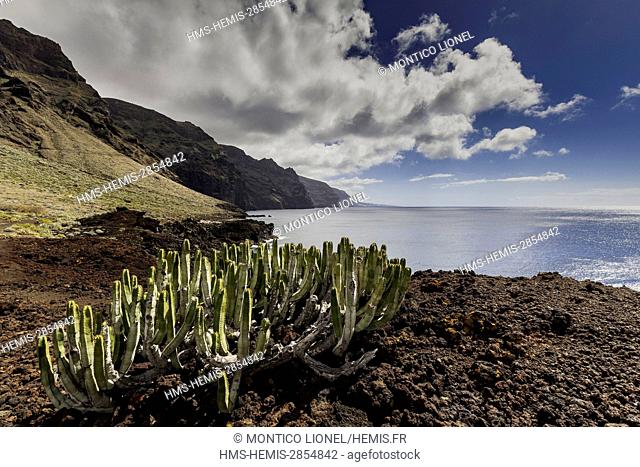 Spain, Canary Islands, Tenerife Island, Punta del Teno, the cliffs of Los Gigantes