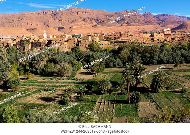Morocco Atlas Mountains Tinghir Oasis and village with beautiful mountains and green palm trees