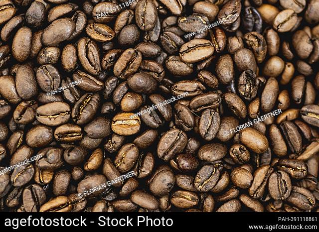 Coffee beans, photographed in a coffee roastery in Addis Ababa, January 13, 2023. - Addis Ababa/