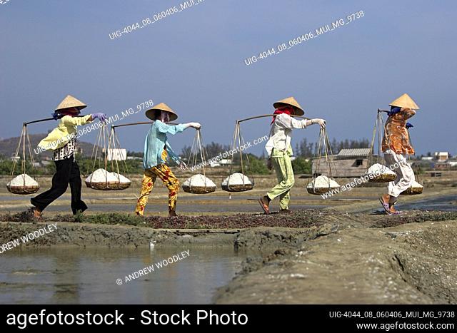 Women in conical hats carry salt in wicker pannier baskets along dyke between salt ponds Vietnam