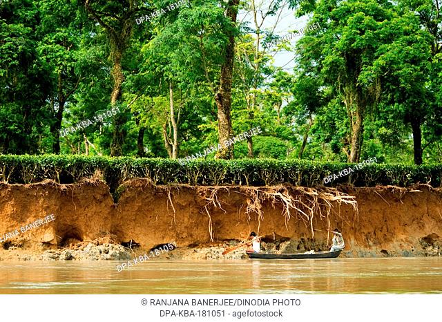 Dibru Saikhoa river Tinsukia Assam India Asia