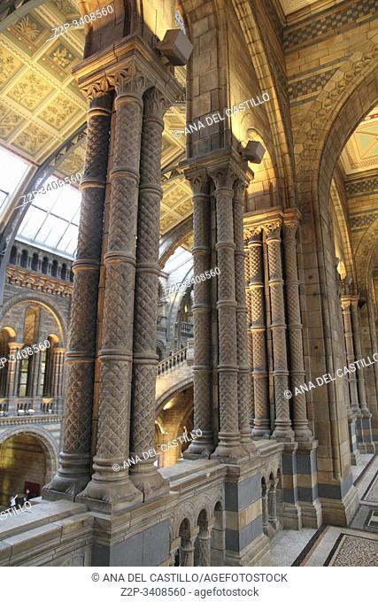 Interior of the Natural history museum in London
