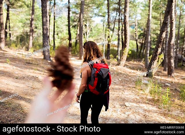 Woman holding pine cone with trekker standing in forest at La Pedriza, Madrid, Spain