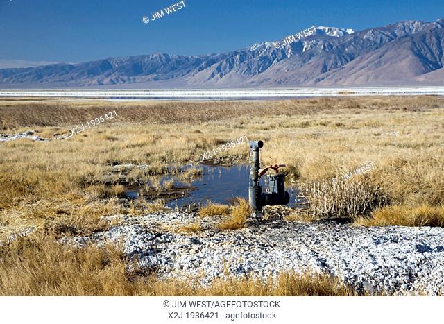 Keller, California - The Los Angeles Department of Water and Power is returning some water to Owens Lake, 100 years after it began diverting water from the...
