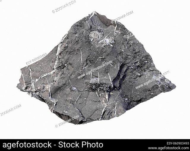closeup of sample of natural mineral from geological collection - unpolished Shungite shale rock isolated on white background