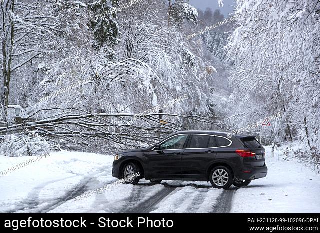 dpatop - 28 November 2023, Hesse, Oberursel: A fallen tree is blocking the L3008 federal highway in the direction of Taunus-Feldberg