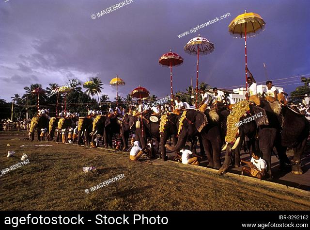 101 elephant, Great elephant march festival in Thiruvananthapuram or Trivandrum, Kerala, India, Asia