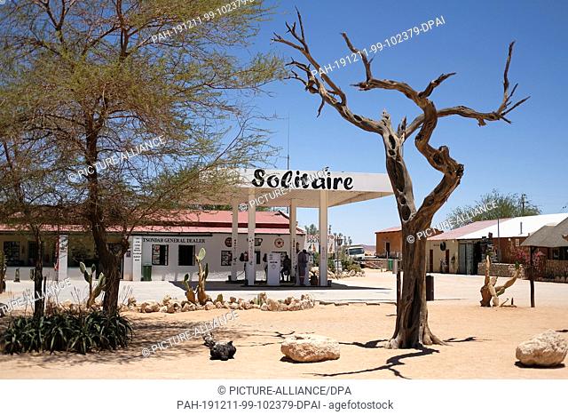 21 November 2019, Namibia, Solitaire: A dead tree stands in front of the petrol station in the desert settlement Solitäre at the edge of the Namib-Naukluft...
