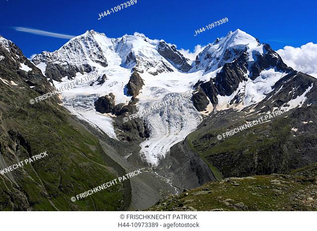 Alps, mountain, mountain panorama, mountains, mountain massif, Biancograt, flowers, Engadine, rock, cliff, Fuorcla Surlej, mountains, glacier, Graubünden