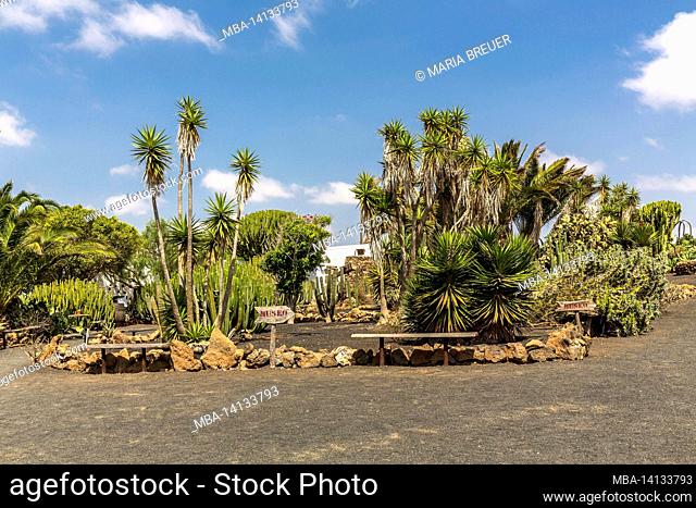 museo agricola el patio, open-air museum, founded in 1845, tiagua, lanzarote, canary islands, spain, europe