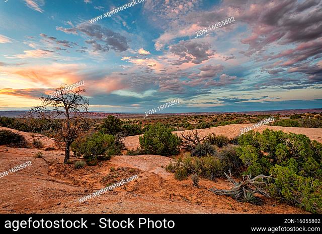 Landscape View from Arches National Park, Utah, USA. Color Image