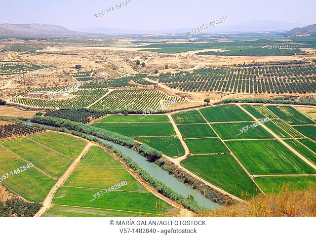 Cultivation fields and river Segura, aerial view. Jumilla, Murcia province, Spain