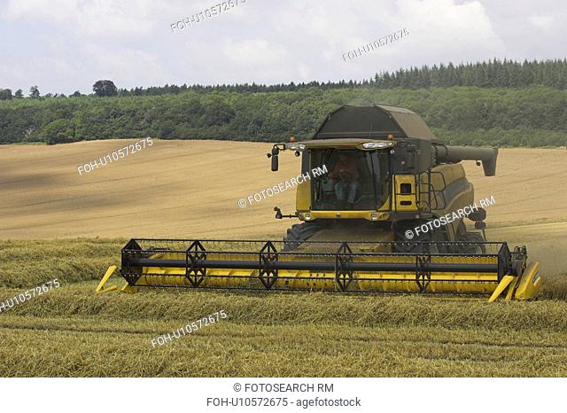 Combining wheat infront of mixed woodland