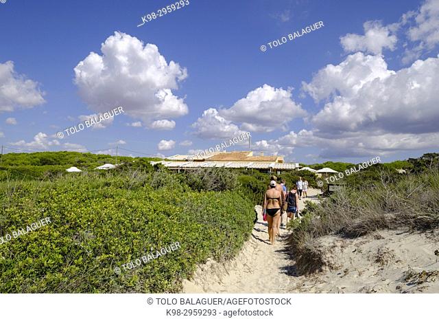 Es Trenc beach, Area Natural de Especial Interés, municipio de Campos, Mallorca, Balearic islands, Spain