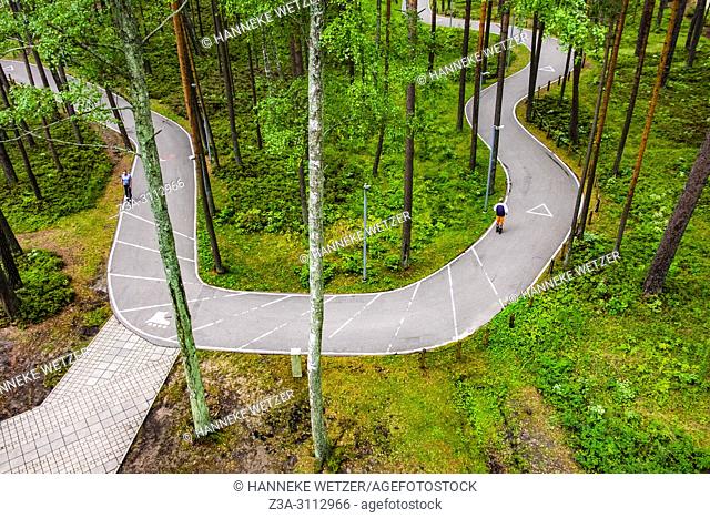 Skeeler trail in the Dzintari Forest, seen from Dzintari viewing tower, Jurmala, Latvia, Europe
