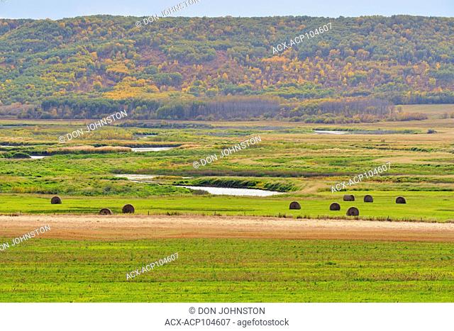 Autumn foliage on the slopes of the Qu'Appelle River Valley, Qu'Appelle Valley, Saskatchewan, Canada