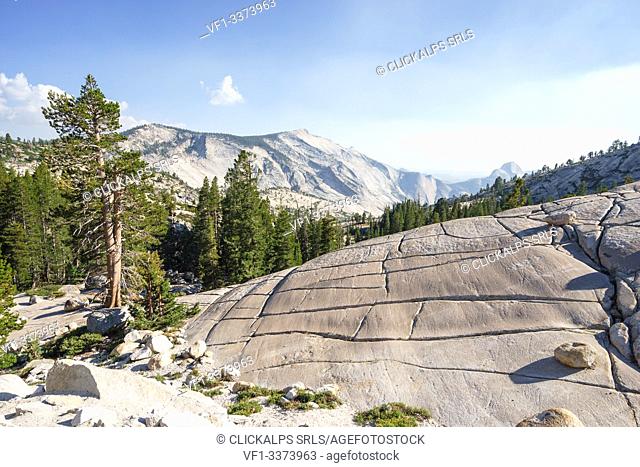 Olmsted Point located along the Tioga Road, Yosemite National Park, California, North America, USA