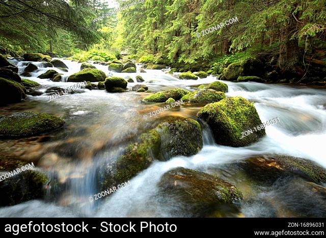 Forest stream flowing down from the mountains, Tatra Mountains, Poland