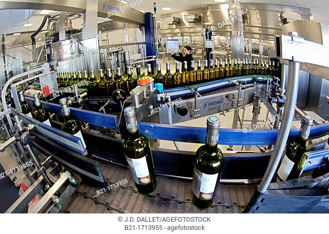 'Domaine de Tariquet Wines and Armagnac Estate': bottling machines able to make 60 000 bottles an hour, Gers, Midi-Pyrenees, France