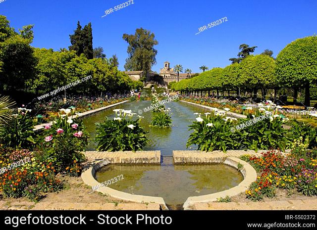 Pond, Garden of Alcazar de los Reyes Cristianos, Cordoba, Andalusia, Palace of the Christian Kings, Spain, Europe