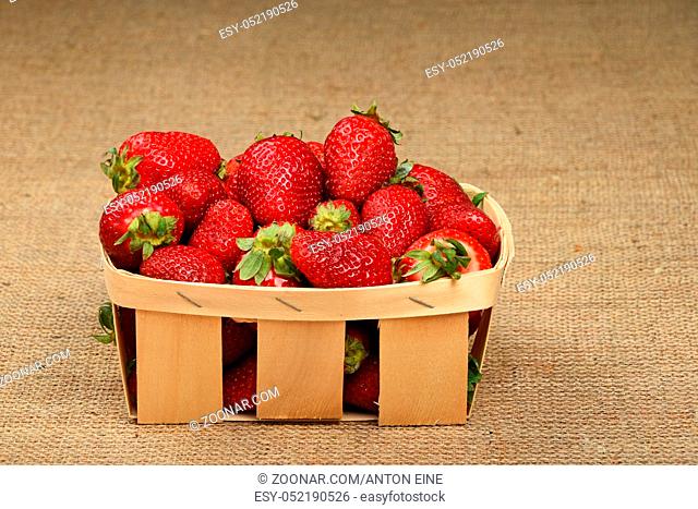 Wicker wooden basket full of mellow fresh red summer strawberries on jute burlap canvas background, side view