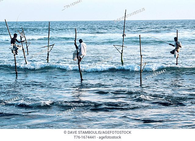 the stilt fishermen of southern Sri Lanka perched on their poles above the Indian Ocean
