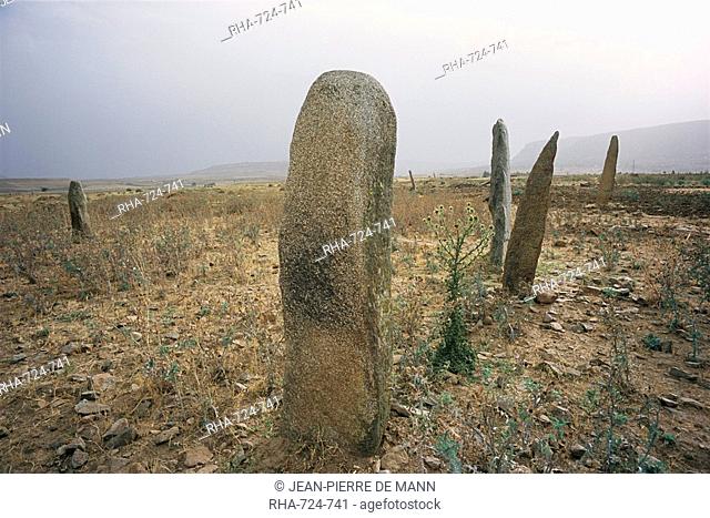 Stelae in ancient cemetery, Axoum Axum Aksum, Tigre region, Ethiopia, Africa