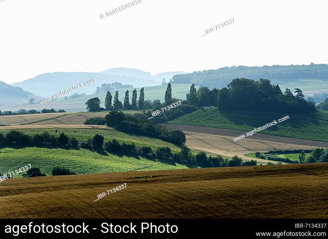 View of the Auvergne Tuscany located in the central part of the Limagne plain, Puy de Dome department, Auvergne-Rhone-Alpes, France, Europe