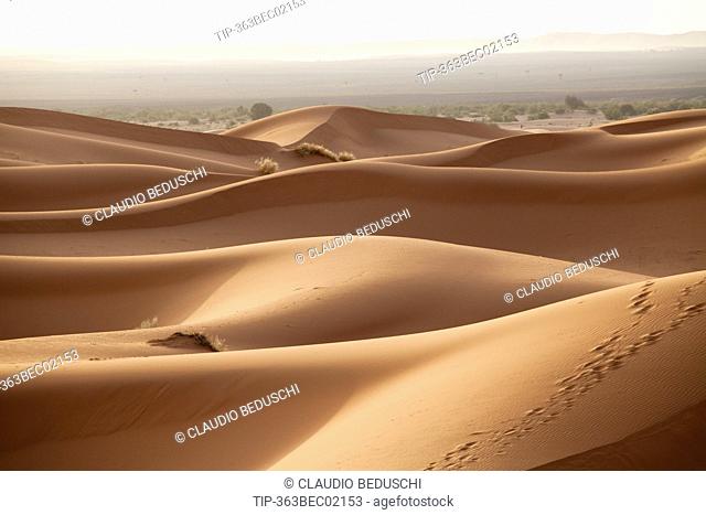 Africa, Morocco, Erg Chebbi Desert